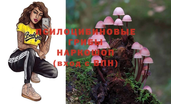 гашик Алзамай