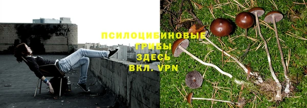 меф Гвардейск