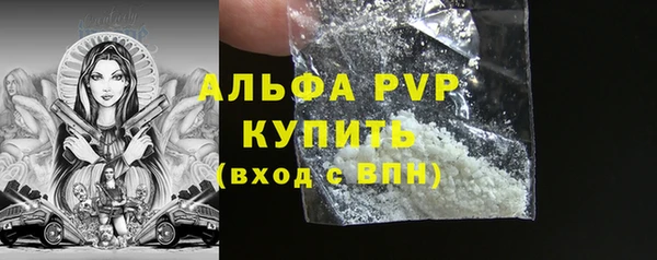 стаф Алексин
