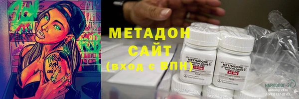 стаф Алексин